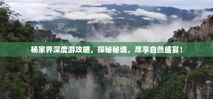 杨家界深度游攻略，探秘秘境，尽享自然盛宴！
