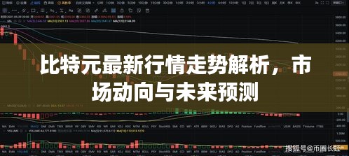比特元最新行情走势解析，市场动向与未来预测