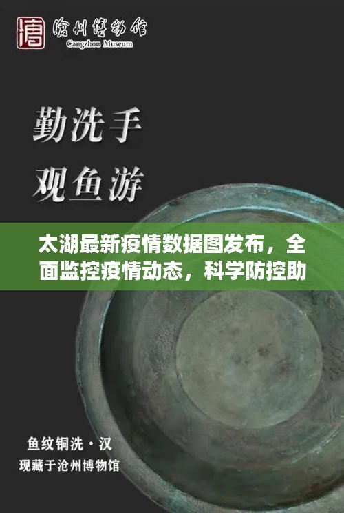 太湖最新疫情数据图发布，全面监控疫情动态，科学防控助力抗疫