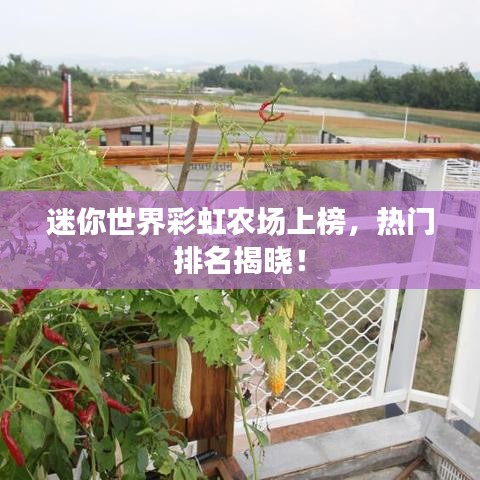 衣不重彩 第2页