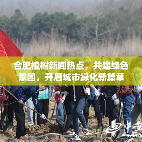 合肥植树新闻热点，共建绿色家园，开启城市绿化新篇章
