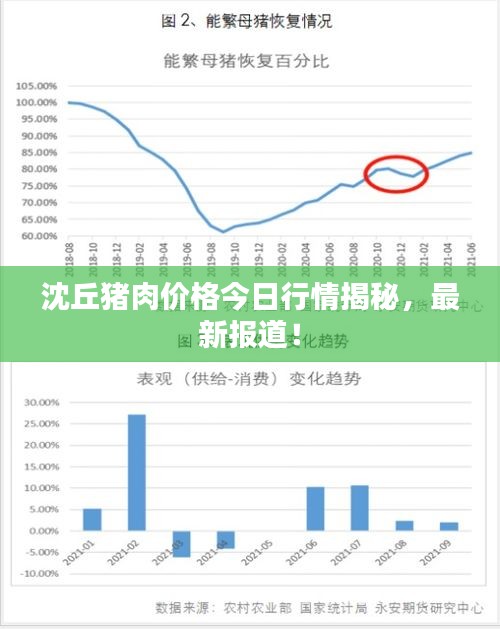 沈丘猪肉价格今日行情揭秘，最新报道！