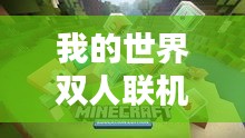 我的世界双人联机实况排行榜揭秘！
