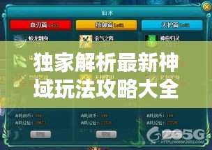 独家解析最新神域玩法攻略大全！核心策略揭秘，轻松称霸神域！