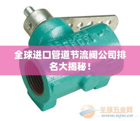全球进口管道节流阀公司排名大揭秘！