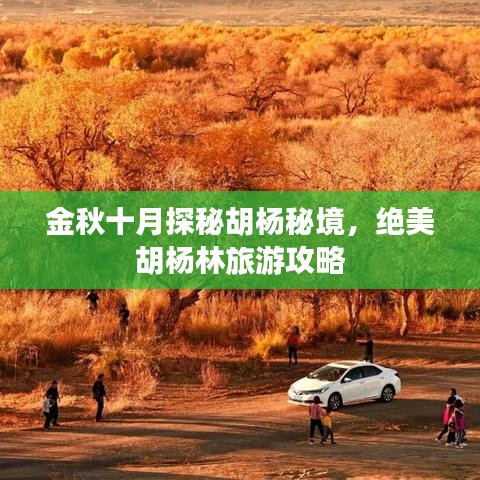 金秋十月探秘胡杨秘境，绝美胡杨林旅游攻略