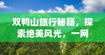 双鸭山旅行秘籍，探索绝美风光，一网打尽必游景点！