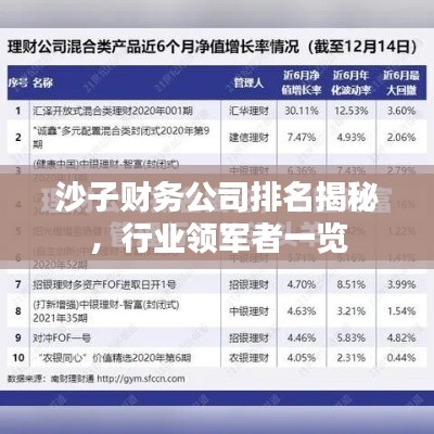 沙子财务公司排名揭秘，行业领军者一览