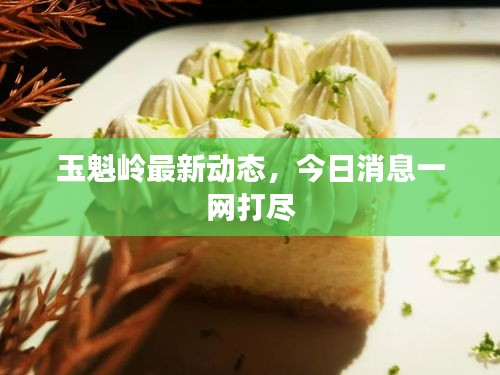 玉魁岭最新动态，今日消息一网打尽
