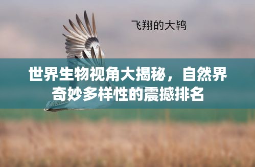 世界生物视角大揭秘，自然界奇妙多样性的震撼排名