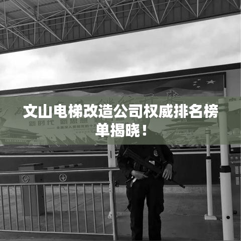 文山电梯改造公司权威排名榜单揭晓！