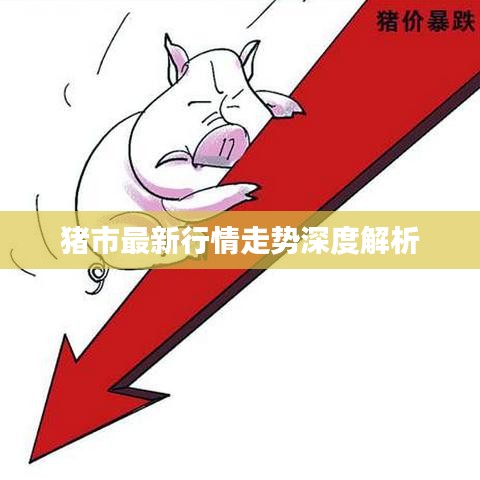 猪市最新行情走势深度解析