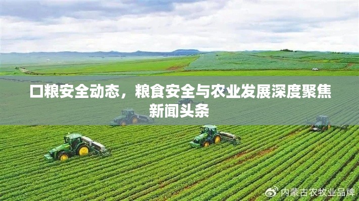 下马看花 第2页
