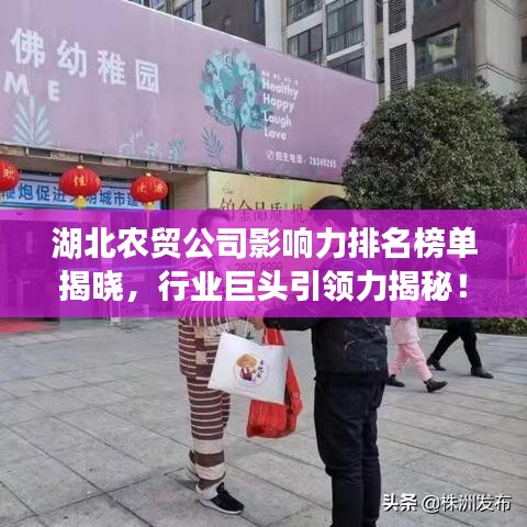湖北农贸公司影响力排名榜单揭晓，行业巨头引领力揭秘！