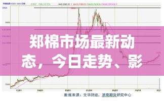 郑棉市场最新动态，今日走势、影响因素全解析