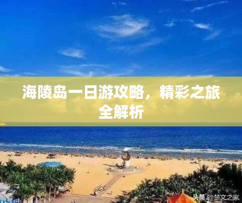 飞蝗芜湖 第2页