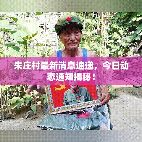 朱庄村最新消息速递，今日动态通知揭秘！
