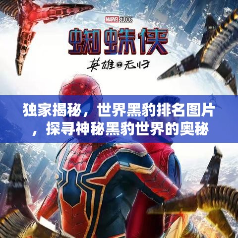 独家揭秘，世界黑豹排名图片，探寻神秘黑豹世界的奥秘