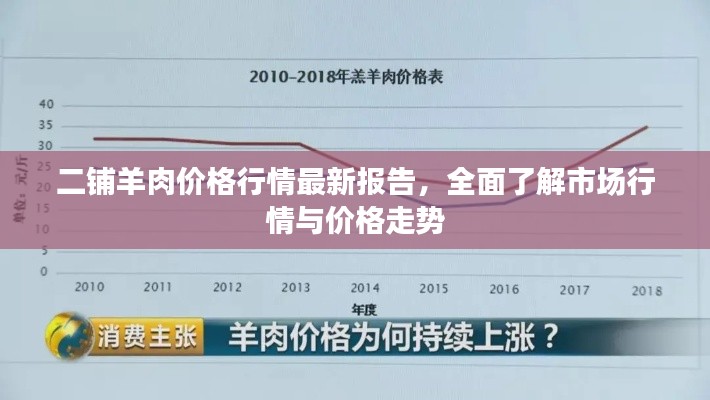 二铺羊肉价格行情最新报告，全面了解市场行情与价格走势