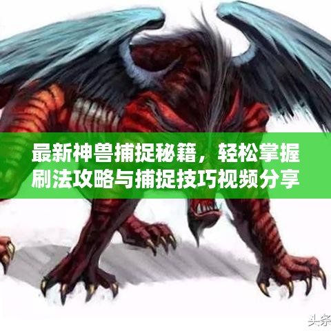 最新神兽捕捉秘籍，轻松掌握刷法攻略与捕捉技巧视频分享
