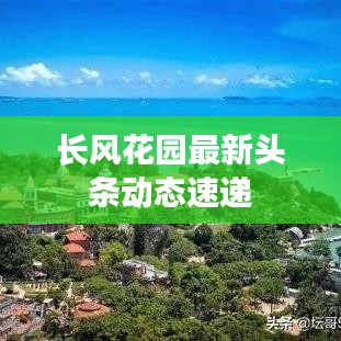笼中之鸟 第2页