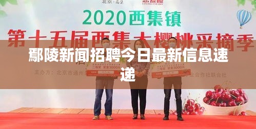 鄢陵新闻招聘今日最新信息速递