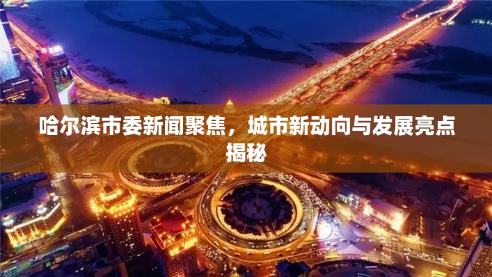 哈尔滨市委新闻聚焦，城市新动向与发展亮点揭秘