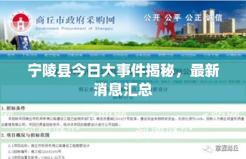 恋恋不舍 第2页