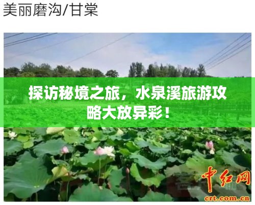 探访秘境之旅，水泉溪旅游攻略大放异彩！
