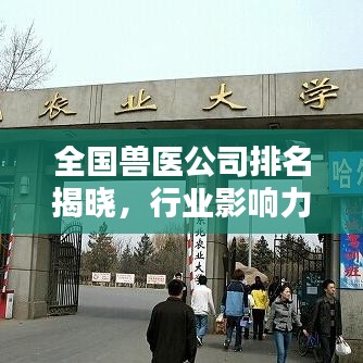 全国兽医公司排名揭晓，行业影响力不容小觑！