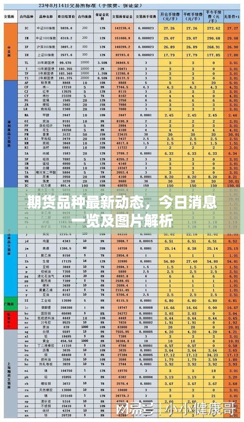 期货品种最新动态，今日消息一览及图片解析