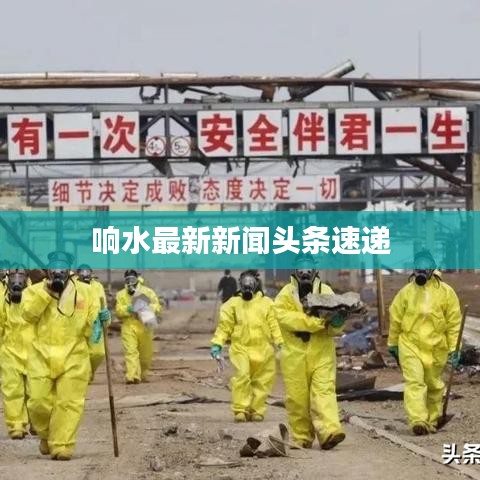 响水最新新闻头条速递