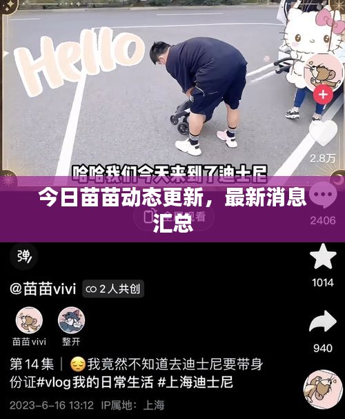 今日苗苗动态更新，最新消息汇总