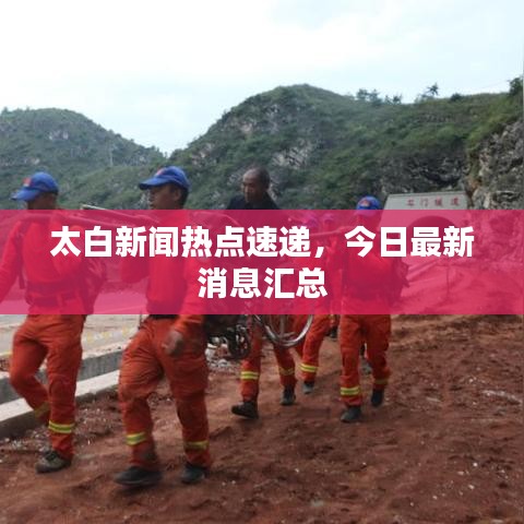 太白新闻热点速递，今日最新消息汇总