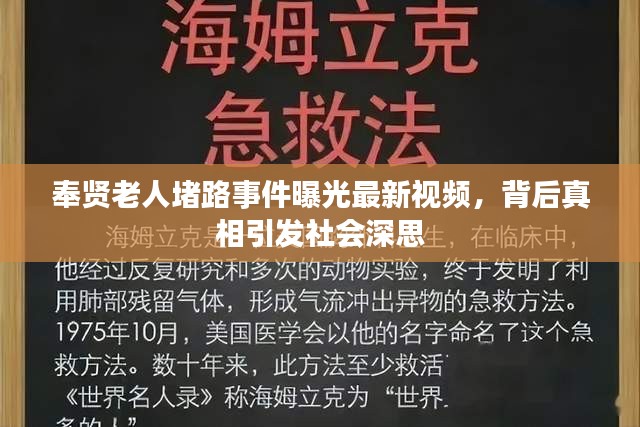 奉贤老人堵路事件曝光最新视频，背后真相引发社会深思