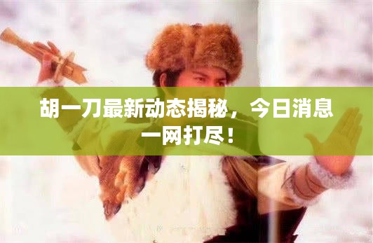 胡一刀最新动态揭秘，今日消息一网打尽！