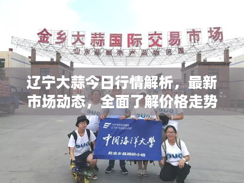 辽宁大蒜今日行情解析，最新市场动态，全面了解价格走势！
