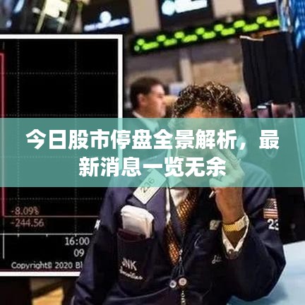 今日股市停盘全景解析，最新消息一览无余