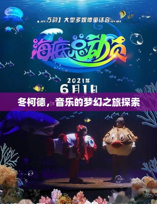 冬柯德，音乐的梦幻之旅探索