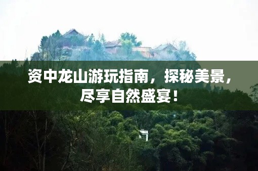 铺张扬厉 第2页