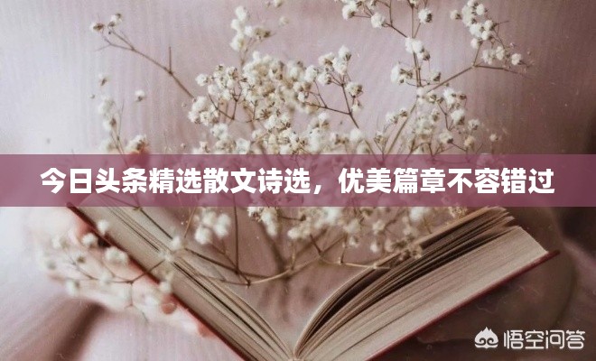 今日头条精选散文诗选，优美篇章不容错过