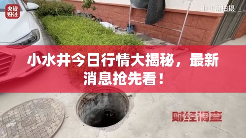 小水井今日行情大揭秘，最新消息抢先看！