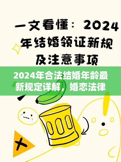 2024年合法结婚年龄最新规定详解，婚恋法律政策更新探讨