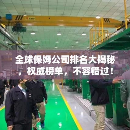 全球保姆公司排名大揭秘，权威榜单，不容错过！