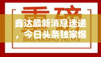 鑫达最新消息速递，今日头条独家爆料