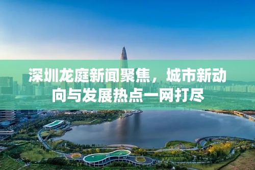 深圳龙庭新闻聚焦，城市新动向与发展热点一网打尽