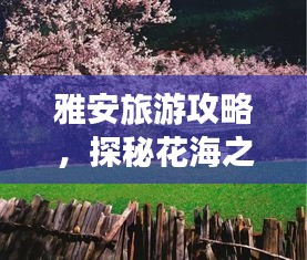 雅安旅游攻略，探秘花海之旅，美景尽收眼底！