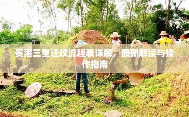 贵港三里迁坟流程表详解，最新解读与操作指南