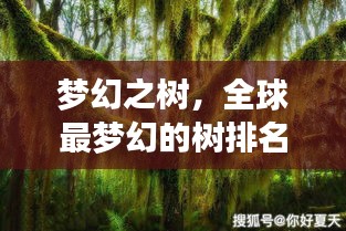 梦幻之树，全球最梦幻的树排名榜揭晓！