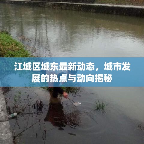江城区城东最新动态，城市发展的热点与动向揭秘